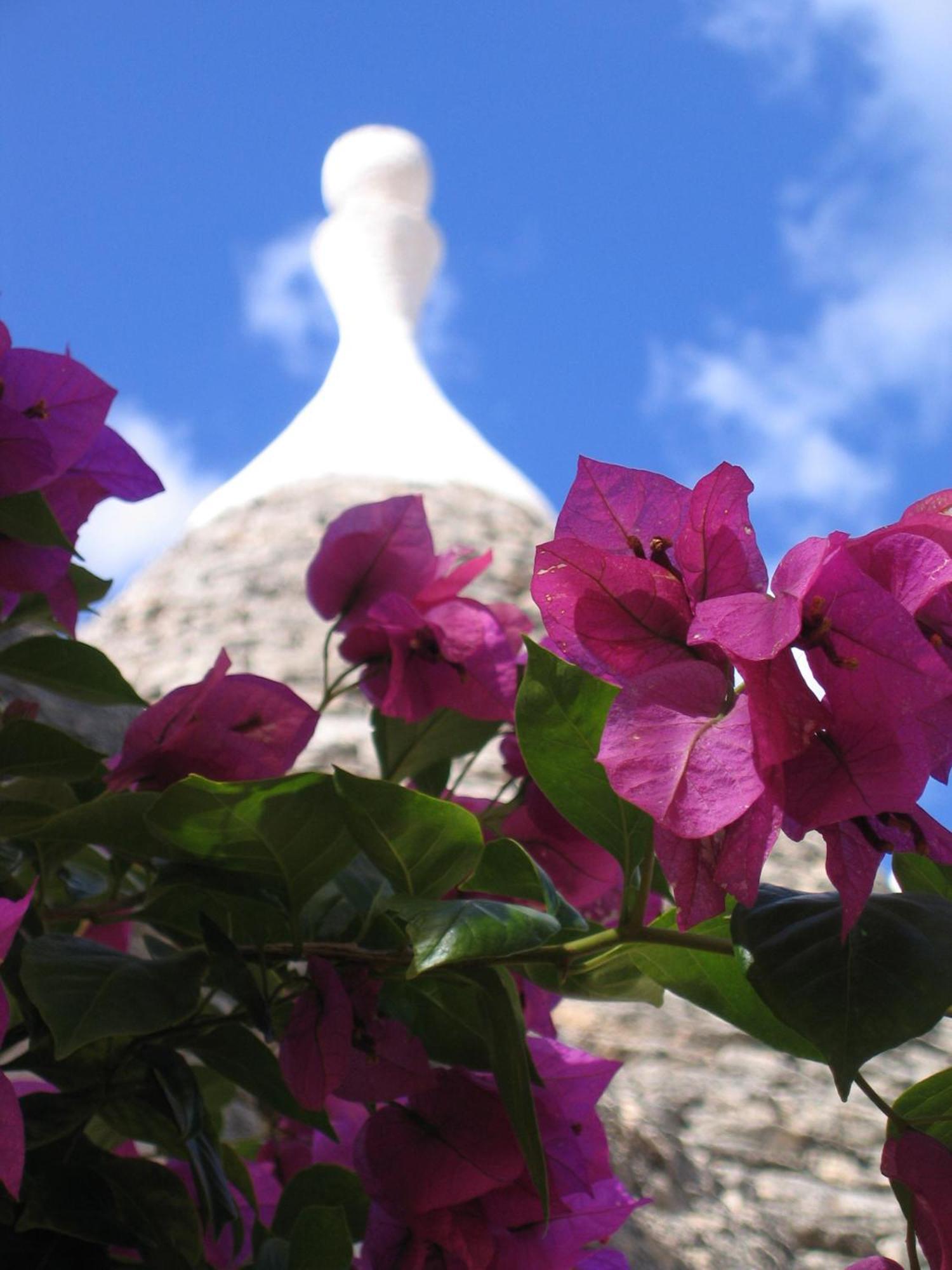 Vacanza In Puglia อัลเบโรเบลโล ภายนอก รูปภาพ