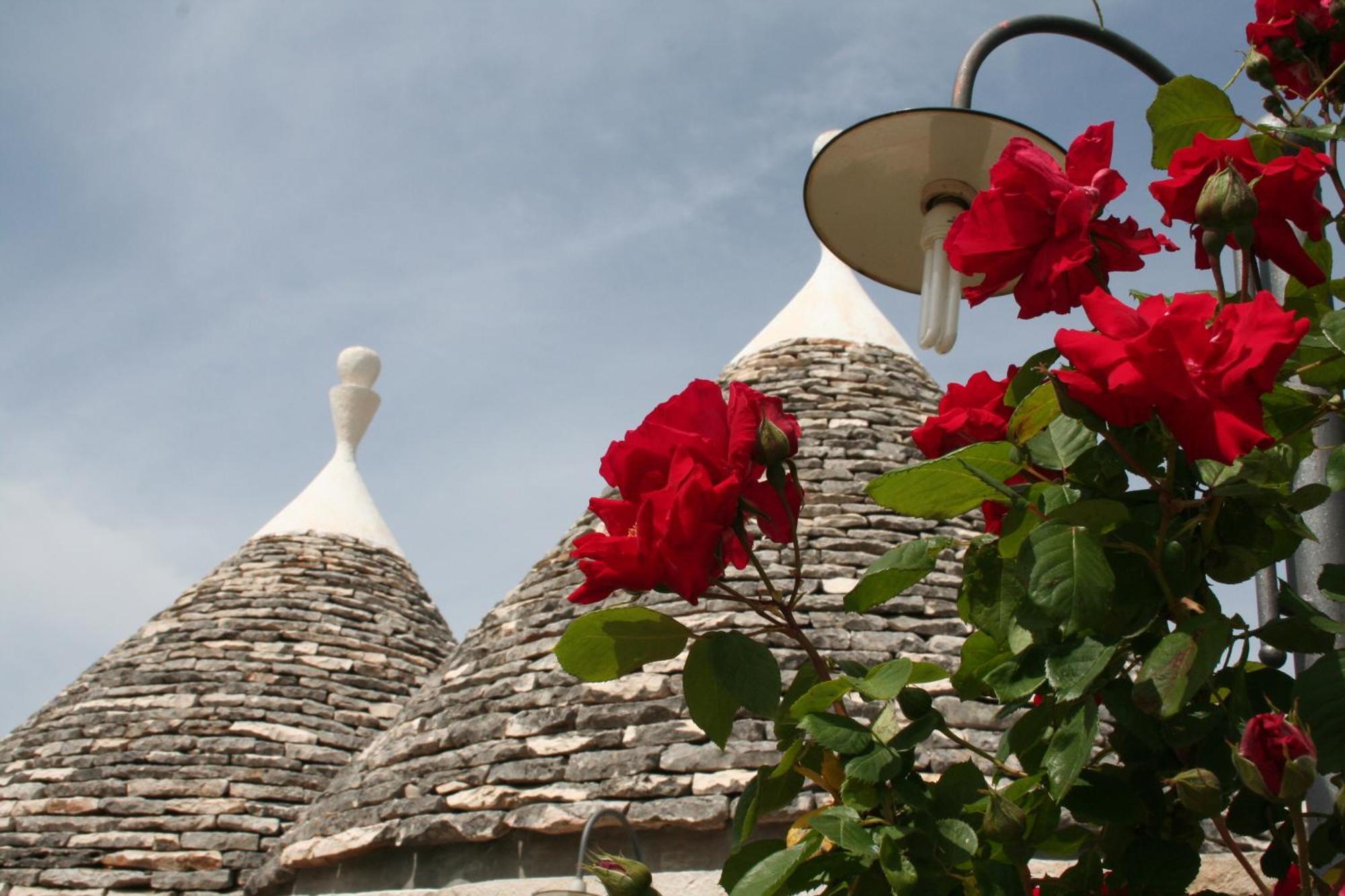 Vacanza In Puglia อัลเบโรเบลโล ภายนอก รูปภาพ
