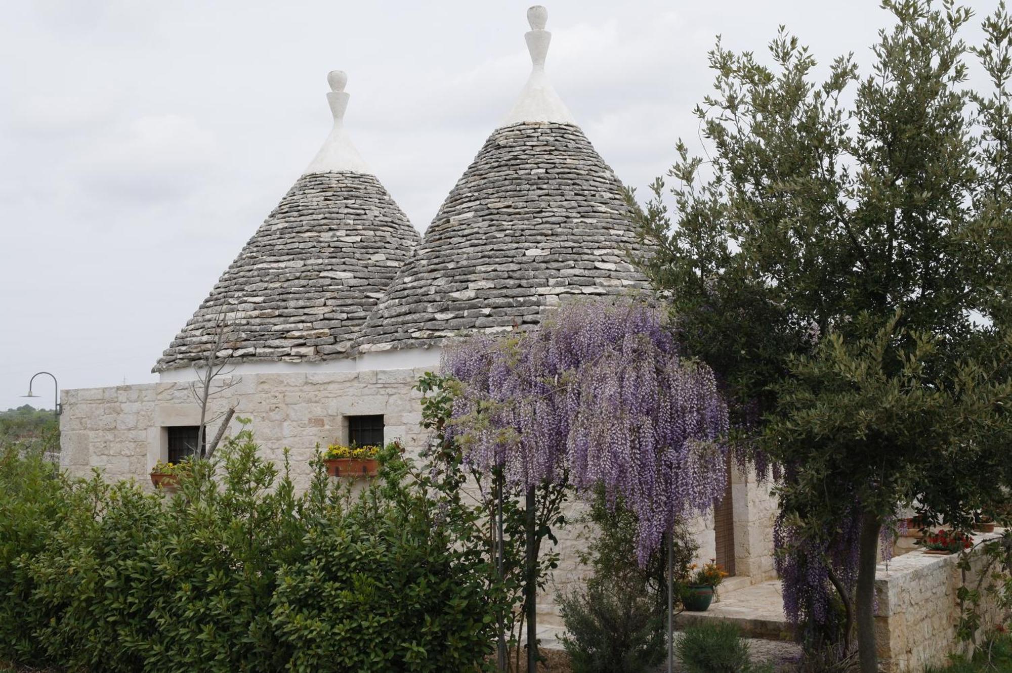 Vacanza In Puglia อัลเบโรเบลโล ภายนอก รูปภาพ